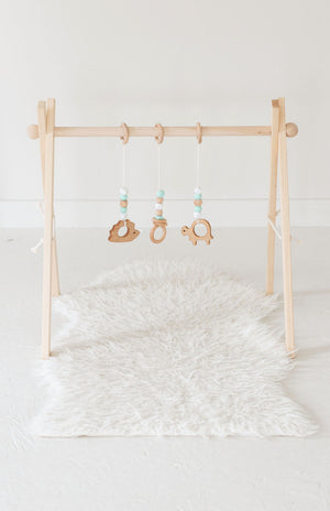 Classic Mint Baby Play Gym