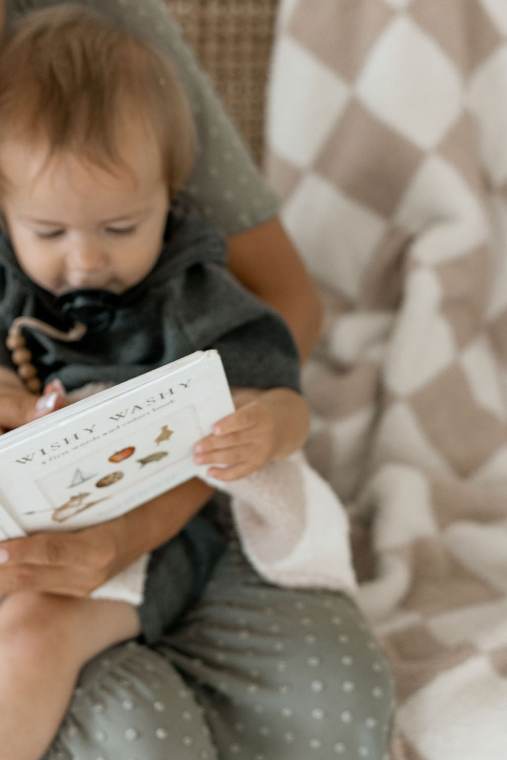 Wishy Washy - A first words and colors book