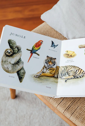 Big book of ANIMALS