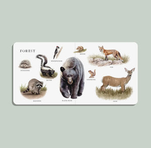 Big book of ANIMALS