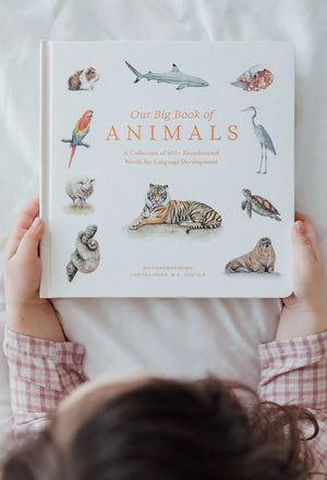 Big book of ANIMALS