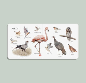 Big book of ANIMALS