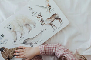 Big book of ANIMALS