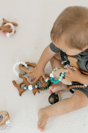 Ombré Animal Shape Teethers