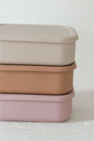 Silicone Bento box