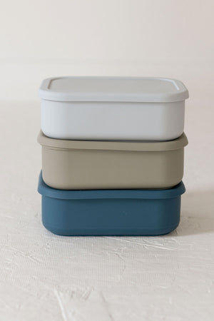 Silicone Bento box