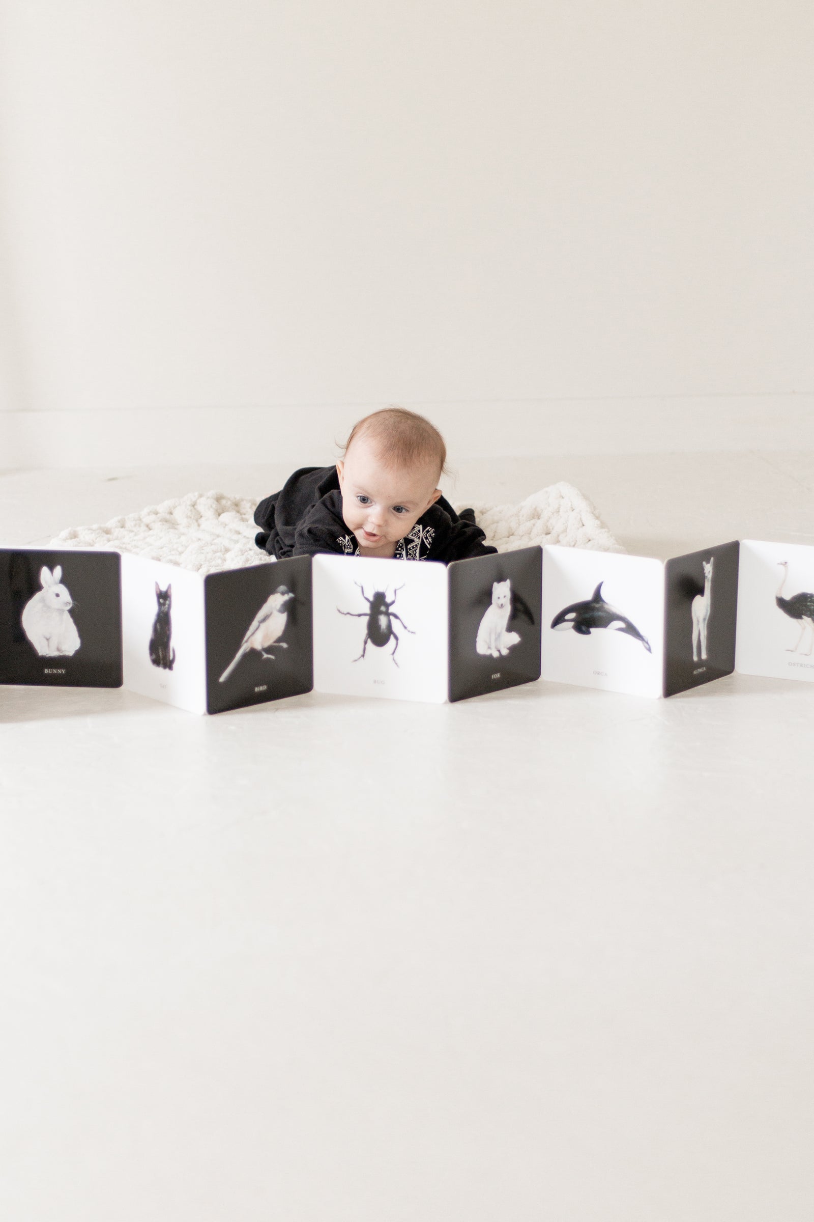 Black and White Contrast Book